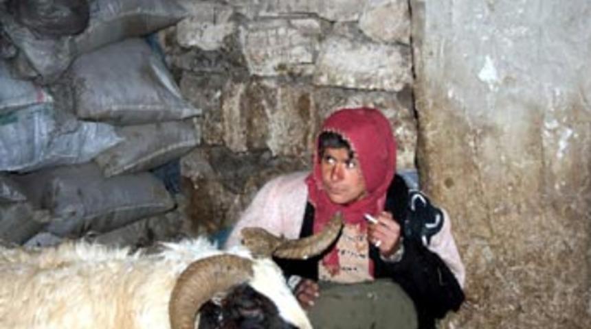 &Ouml;z&uuml;rl&uuml; kadın 15 yıldır ahırda yaşıyor