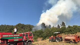 Balıkesir Sındırgı'da çıkan orman yangını kontrol altına alındı