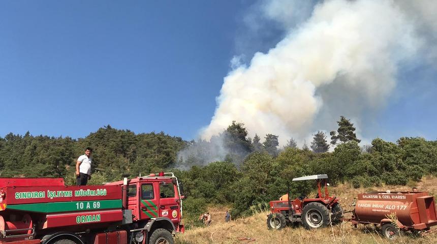 Balıkesir Sındırgı'da çıkan orman yangını kontrol altına alındı