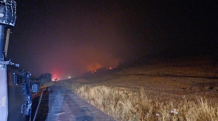 Diyarbakır'ın Lice ilçesinde çıkan orman yangınına müdahale ediliyor