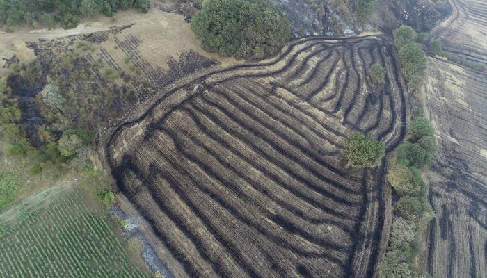 Çanakkale’deki orman yangını 52 saat sonra kontrol altına alındı