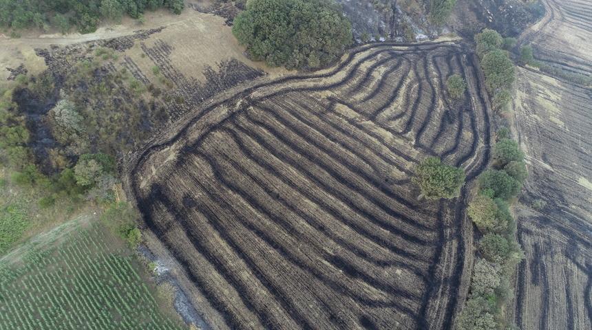 Çanakkale'deki orman yangını 52 saat sonra kontrol altına alındı