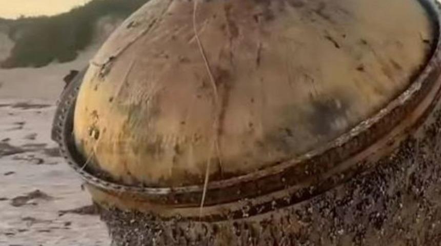 Kimse ne olduğunu anlayamadı! Tam 2 metre büyüklüğünde... Gizemi çözüldü: Muhtemelen zehirli