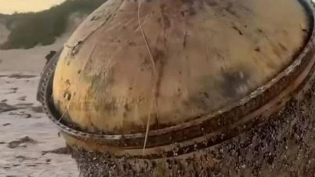 Kimse ne olduğunu anlayamadı! Tam 2 metre büyüklüğünde... Gizemi çözüldü: Muhtemelen zehirli