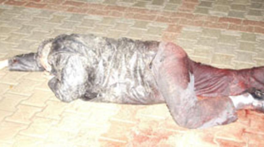 Zeytinburnu'nda dehşet: 1 &ouml;l&uuml;, 1 yaralı