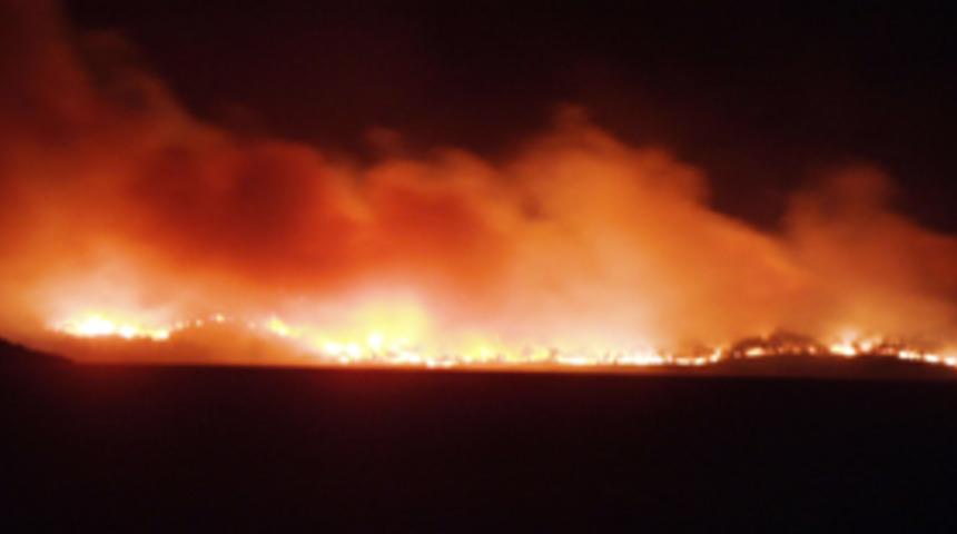 Ayvalık'ta 150 hektar yandı