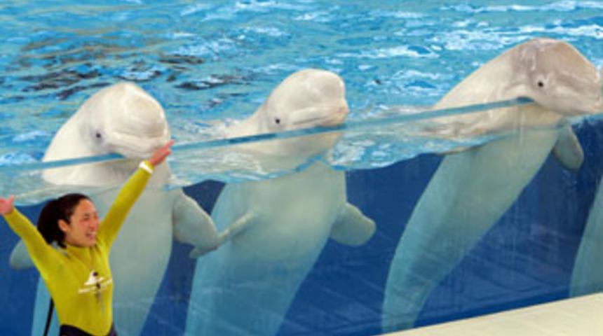 Fotoğraflarla 2006 b&ouml;yle ge&ccedil;ti