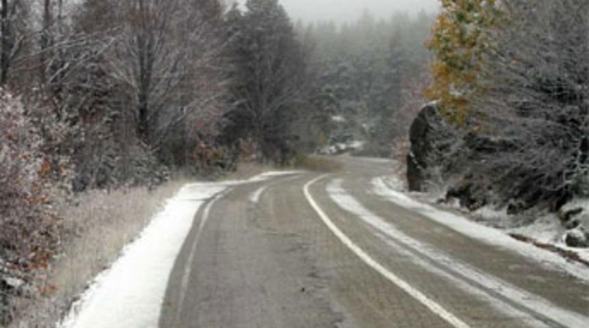 Bursa beyaza b&uuml;r&uuml;nd&uuml;