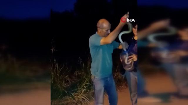 Tarlasına dadanan zehirli yılanı eliyle yakalayıp pet şişeye böyle koydu