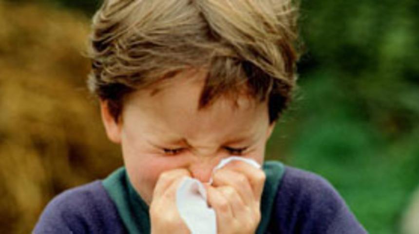 Allerjinin nedeni, bağışıklık sistemi