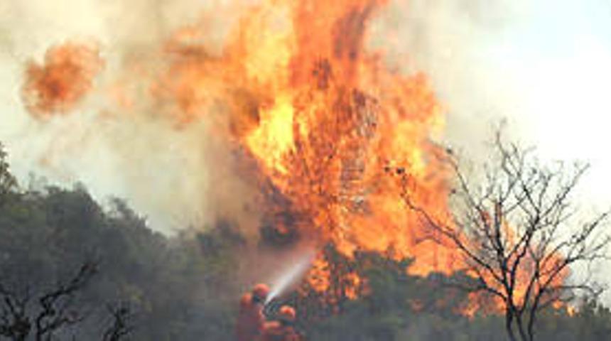 Taraklı'daki yangın kontrol altında