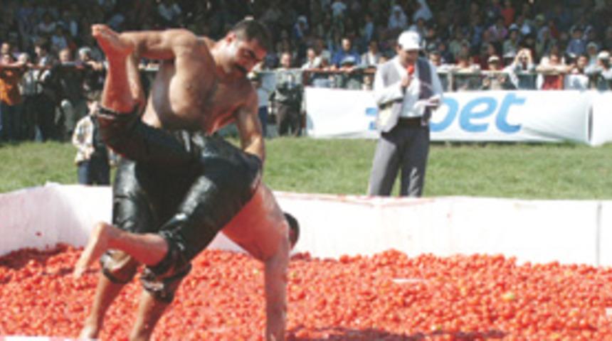 Pehlivanlar domates &uuml;zerinde g&uuml;reşti
