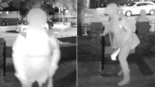 Korku filmi gibi ama gerçek! Kapısının önünde palayla gezen bir kadını görünce ne yapacağını şaşırdı