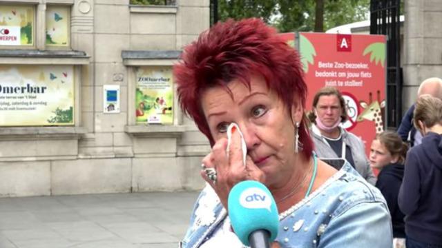 Şempanzeye aşık olan kadın hayvanat bahçesinden men edilince gözyaşlarını tutamadı! Bir şartla görüşebilecekler