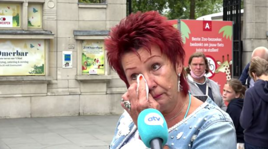 Şempanzeye aşık olan kadın hayvanat bahçesinden men edilince gözyaşlarını tutamadı! Bir şartla görüşebilecekler