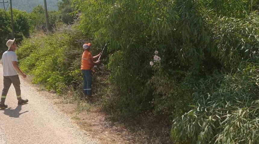 Marmaris’te yangına karşı ağaçlar budanıyor
