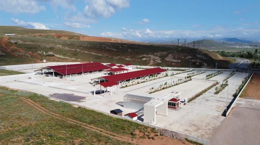 Canlı Hayvan Pazarı ve Ot Borsası, Sivas hayvancılığına kazandırıldı