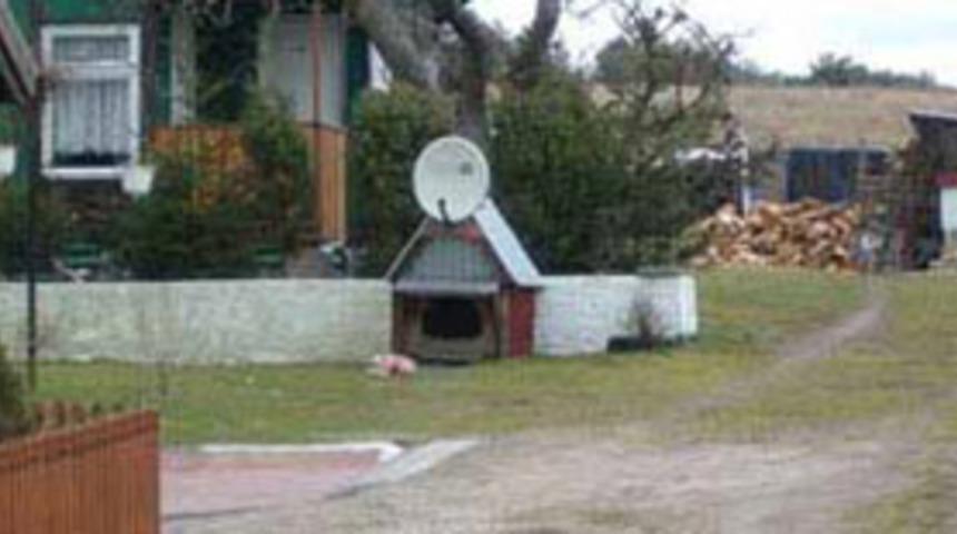 Torununu k&ouml;pek kul&uuml;besine kilitledi