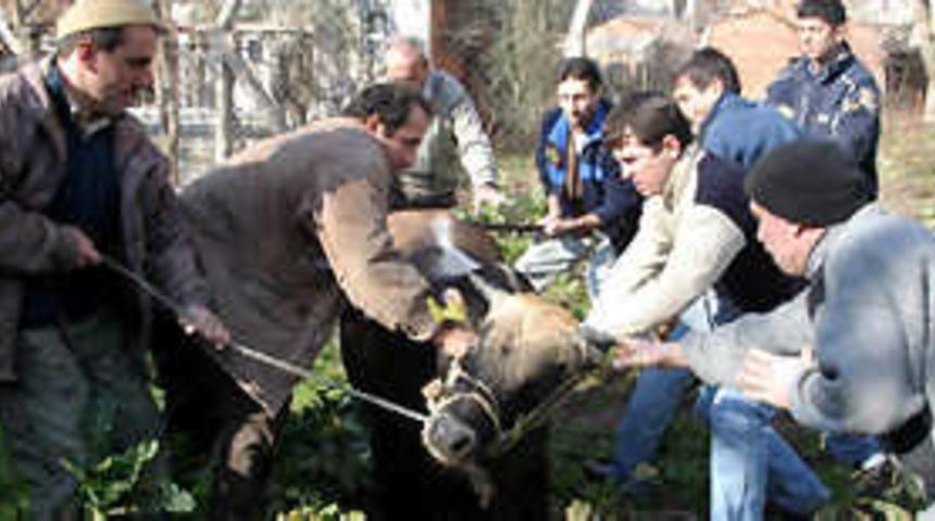 Kurban keserken kalp krizi ge&ccedil;irdiler