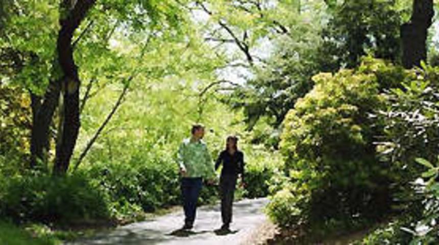 Bahar yorgunluğuna dikkat edin