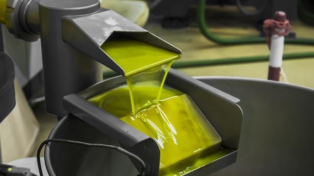 26 yıl sonra yeniden! Resmi Gazete'de yayımlandı: Zeytinyağı ihracatına fon kesintisi