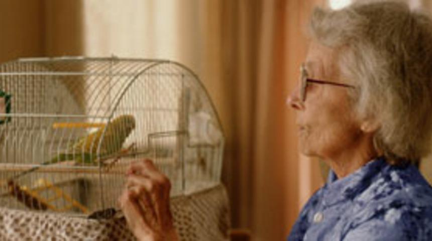 Kuşlarla insanlar benzer teknikle şarkı s&ouml;yl&uuml;yor