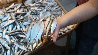 20 yıldır ilk defa... 'Yok olma tehlikesi var' diyerek uyardılar! 'Bize alarm veriyor'