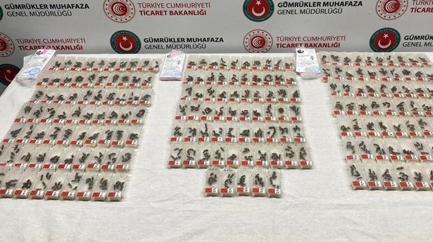 Küçük şeffaf kutular içinde 1230 adet! Tedirgin halleriyle dikkat çekince... Sabiha Gökçen Havalimanı'nda ele geçirildi 