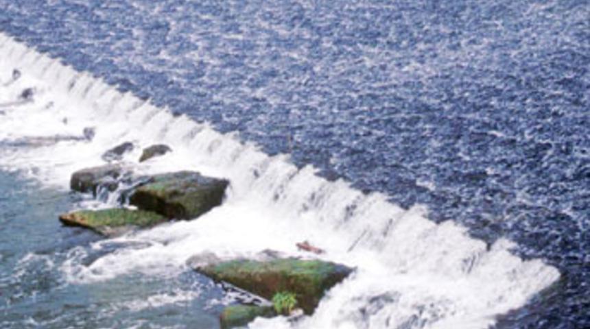 "Doğal alanlar barajların tehdidinde"