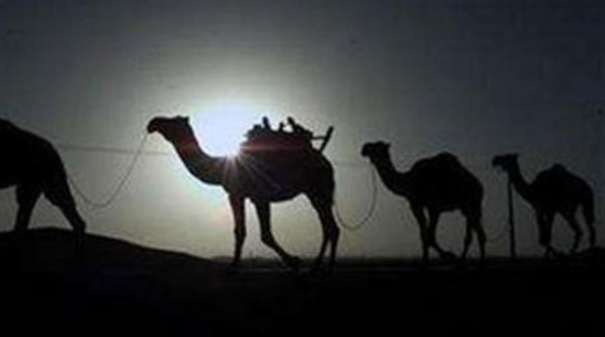 100 bin yıllık deve fosili bulundu