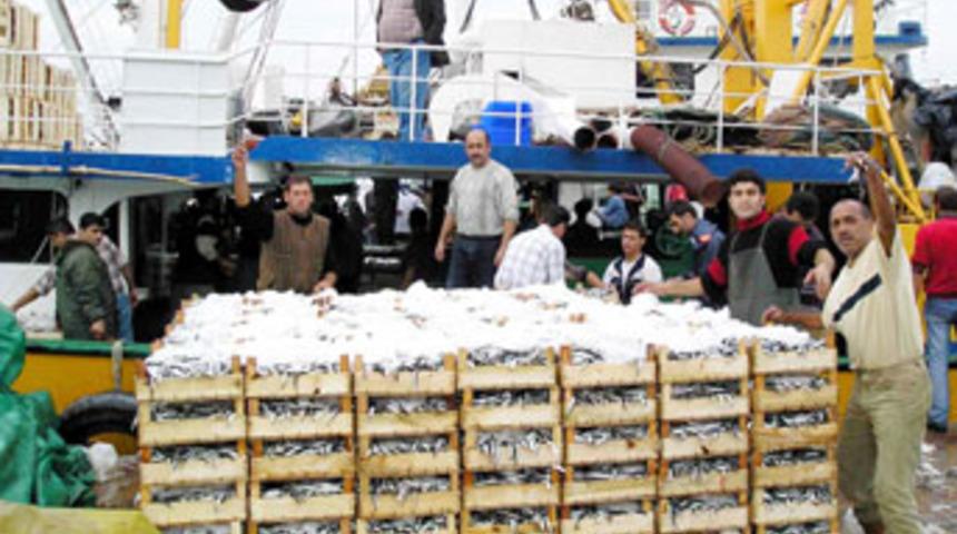 Hamsinin kilosu 7 YTL