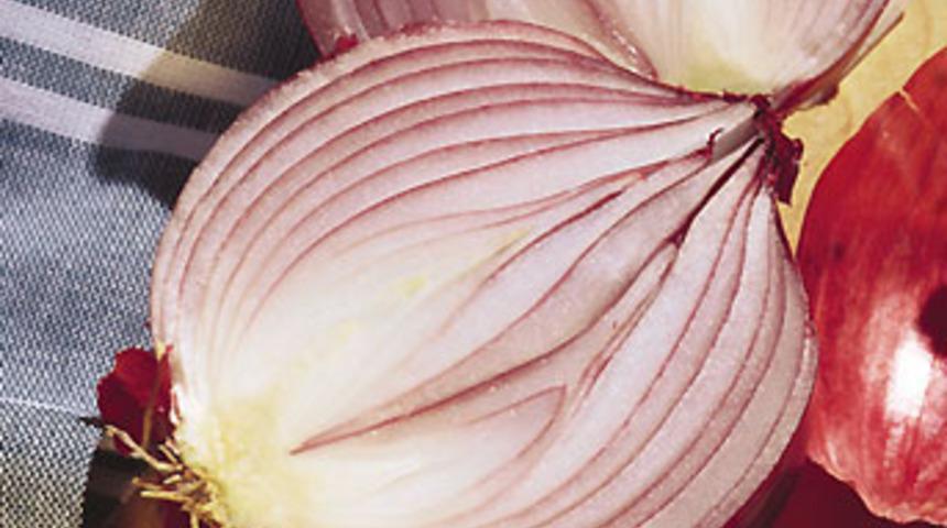 Soğan her derde deva