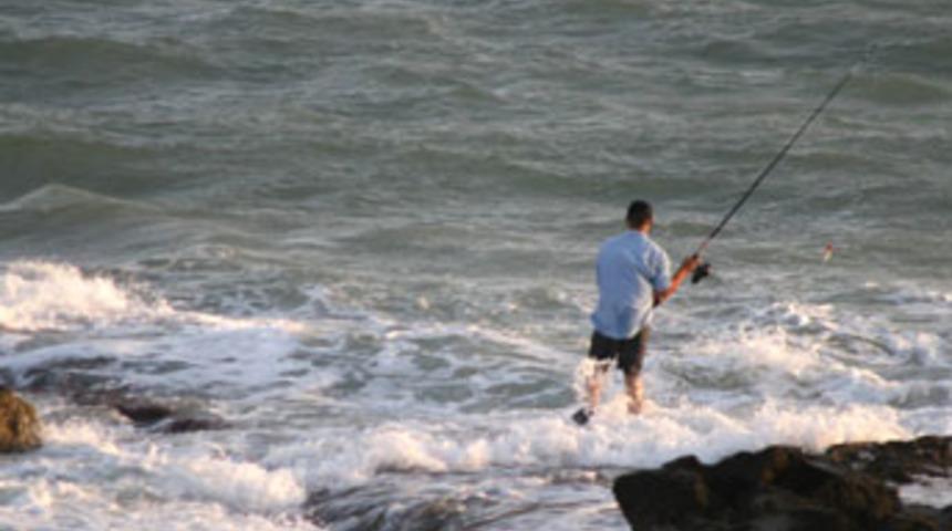 Okyanus balıkları yok olma noktasına gelebilir