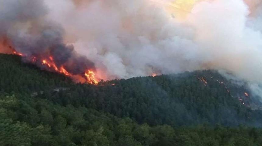 Kütahya'da orman yangını! Çok sayıda ekip sevk edildi