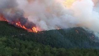 Kütahya'da orman yangını! Çok sayıda ekip sevk edildi