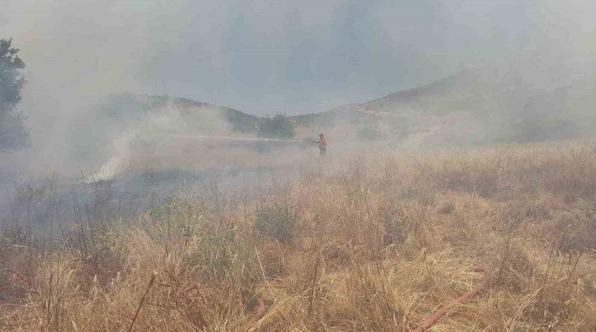 Arazide çıkan yangın ormanlık alana sıçramadan söndürüldü
