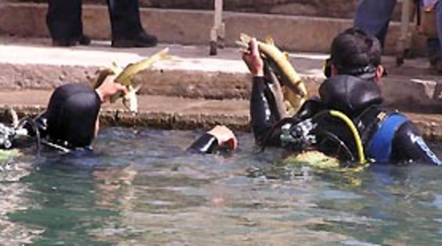 Balıklıg&ouml;l'deki balıklara oksijen