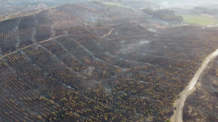 İki günde kontrol altına alınmıştı! Çanakkale'deki orman yangını sonrası yanan alanlar havadan görüntülendi
