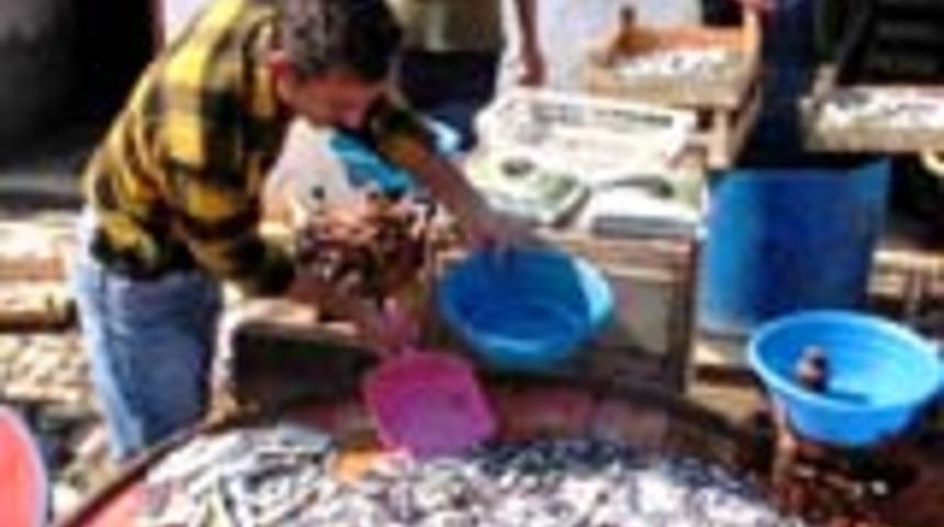 Karadeniz'den Avrupa'ya hamsi ihracı