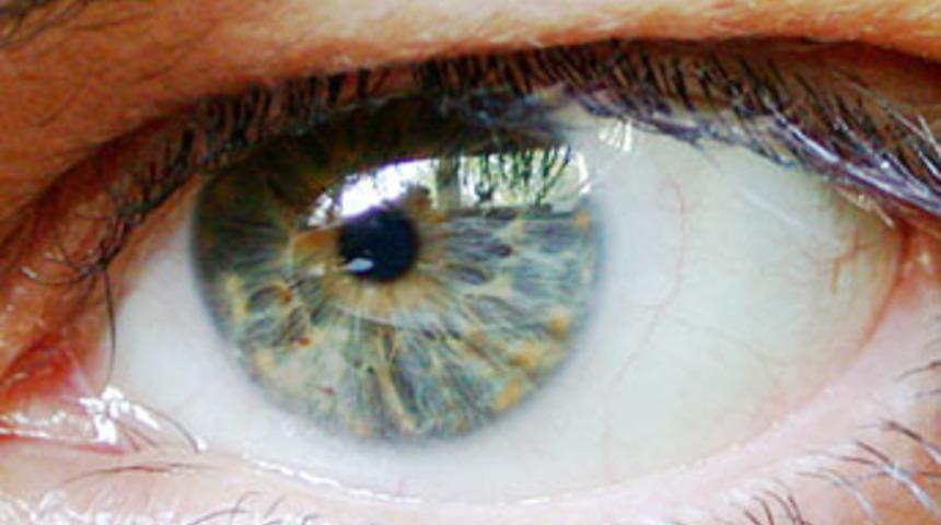 Gözde doğrular ve yanlışlar