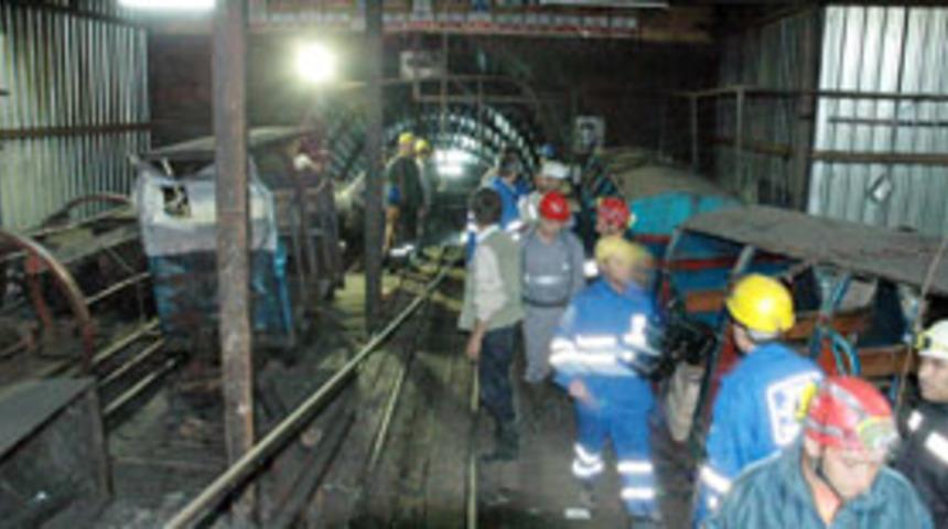 Grizu faciasıyla ilgili soruşturma s&uuml;r&uuml;yor