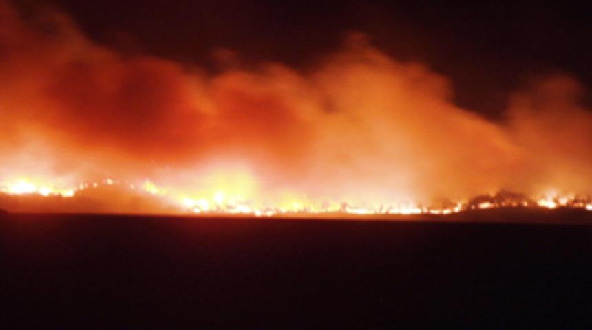 Karab&uuml;k'te orman yangını