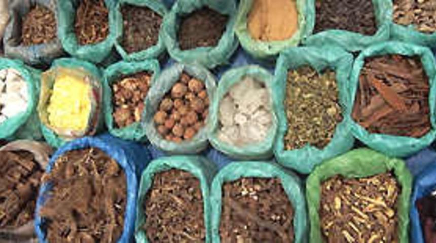 Hangi hastalığa hangi bitki tedavisi?