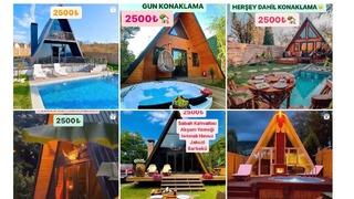 Sapanca için sahte bungalov ilanları açtı, günlüğünü 2 bin 500 liradan sattı! Yedim parayı yok