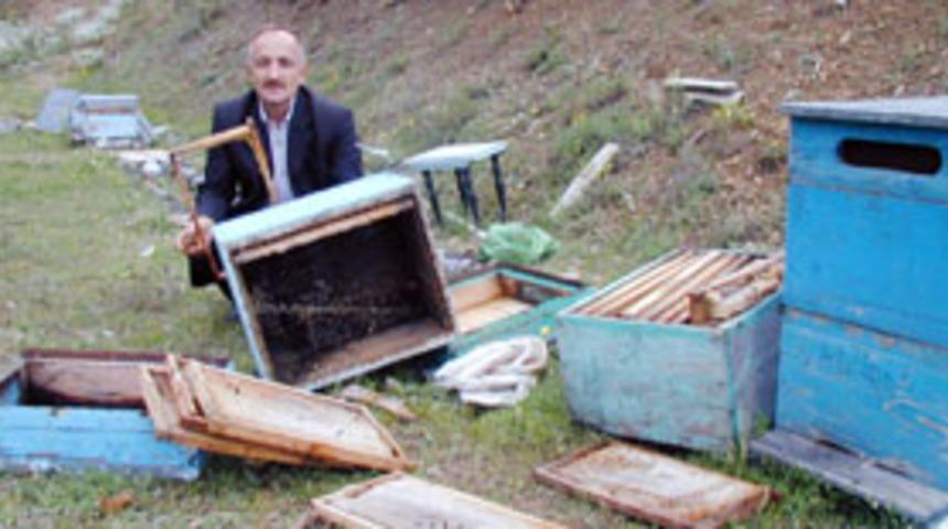 K&ouml;yl&uuml;ye ayı saldırdı