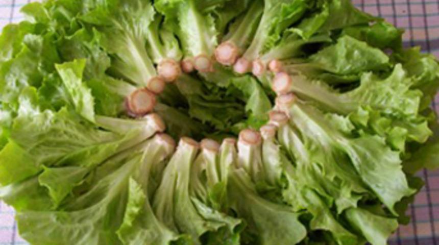 ABD'de marullar toplatılıyor