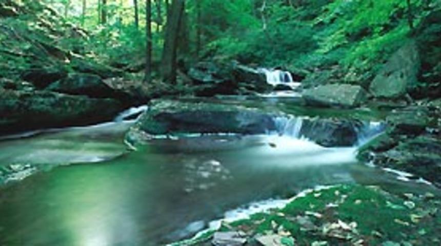 İkinci bir ''kayıp d&uuml;nya'' bulundu