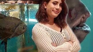 Onu gören hayrete düşüyor! 'Dadaş Pirana' 36 yaşına girdi... Doğum günü yaş pasta ve cağ kebabı ile kutlandı