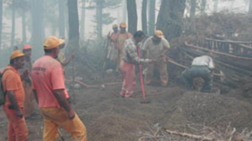 Pepe yanan alanları inceledi