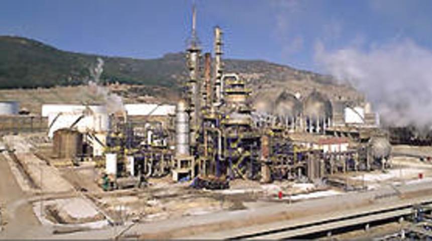 Fitch, Petkim'in g&ouml;r&uuml;n&uuml;m&uuml;n&uuml; y&uuml;kseltti